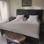 Terrasol 512