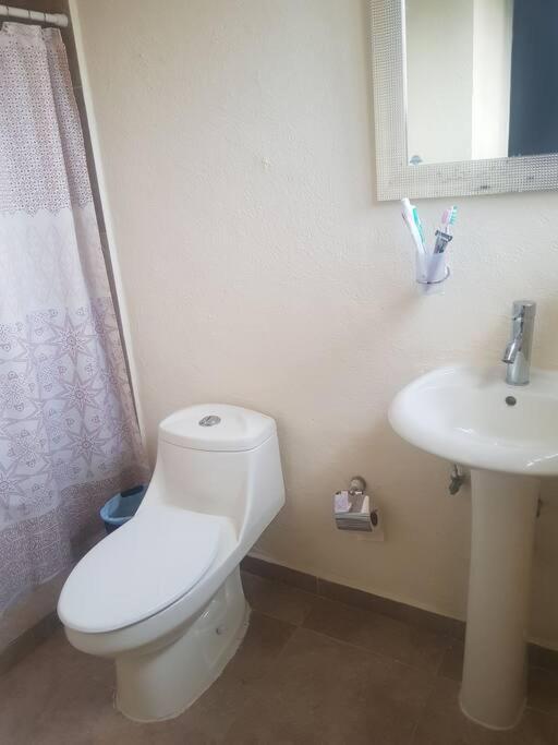 Departamento En Zona Dorada De