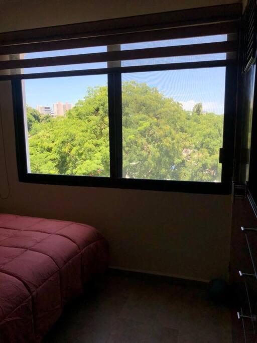Apartamento Departamento En Zona Dorada De *