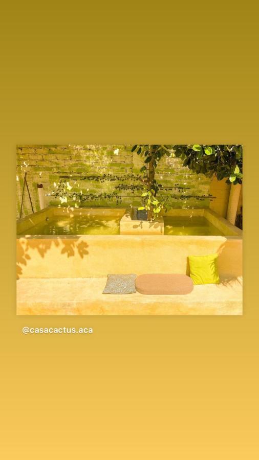 Casa Cactus Apartment *