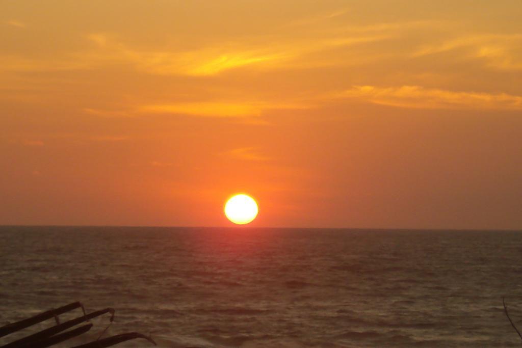 Evasion 2* Acapulco