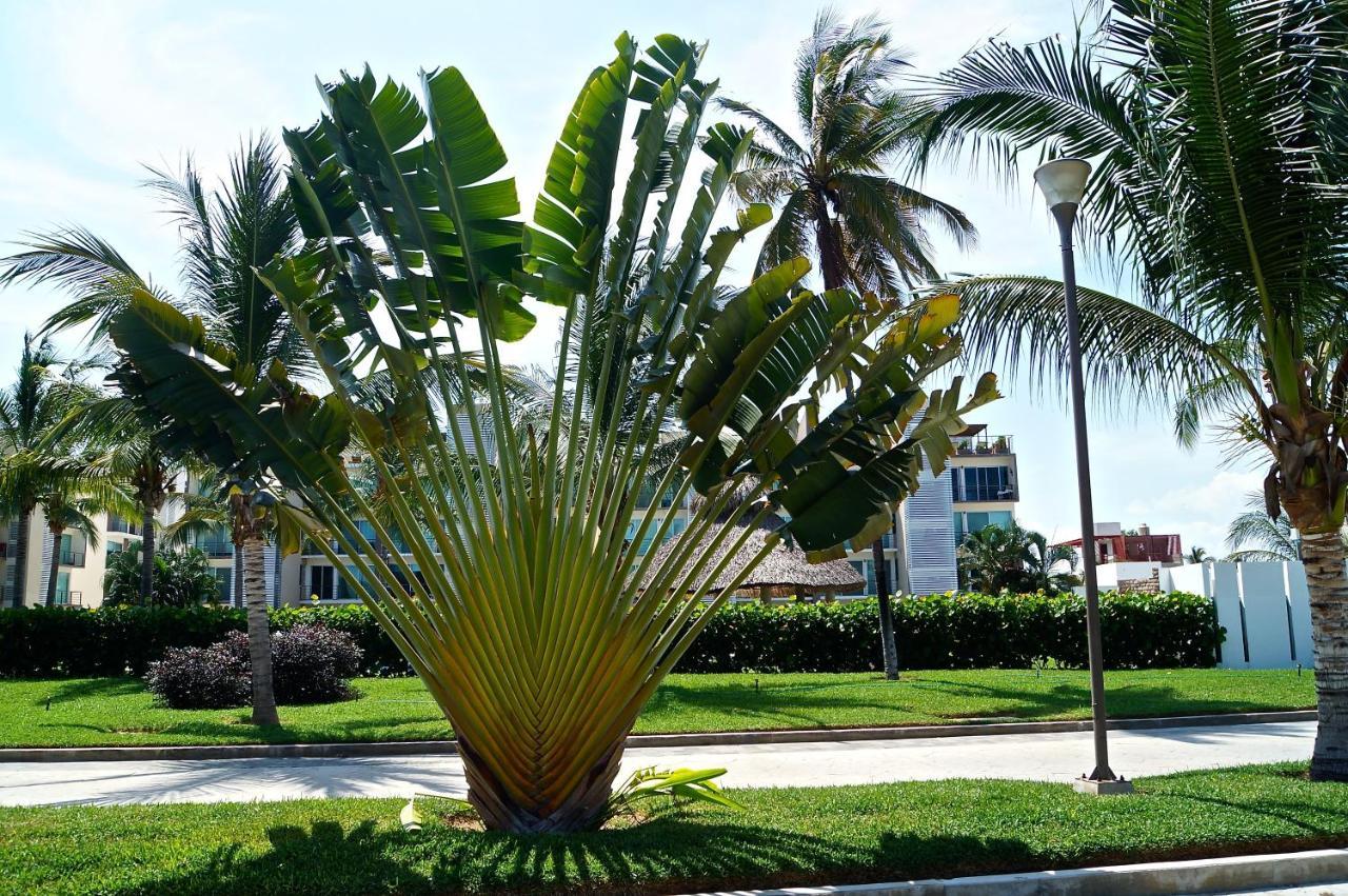 Penthouse Con Jacuzzi En Acapulco Diamante Acapulco