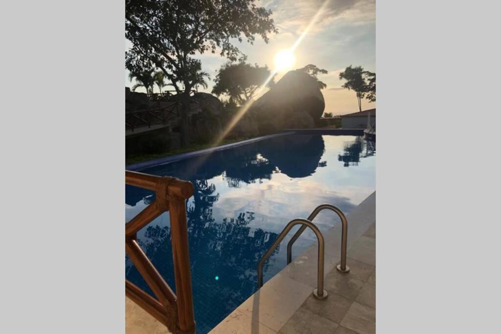 29 Palmetto Acapulco