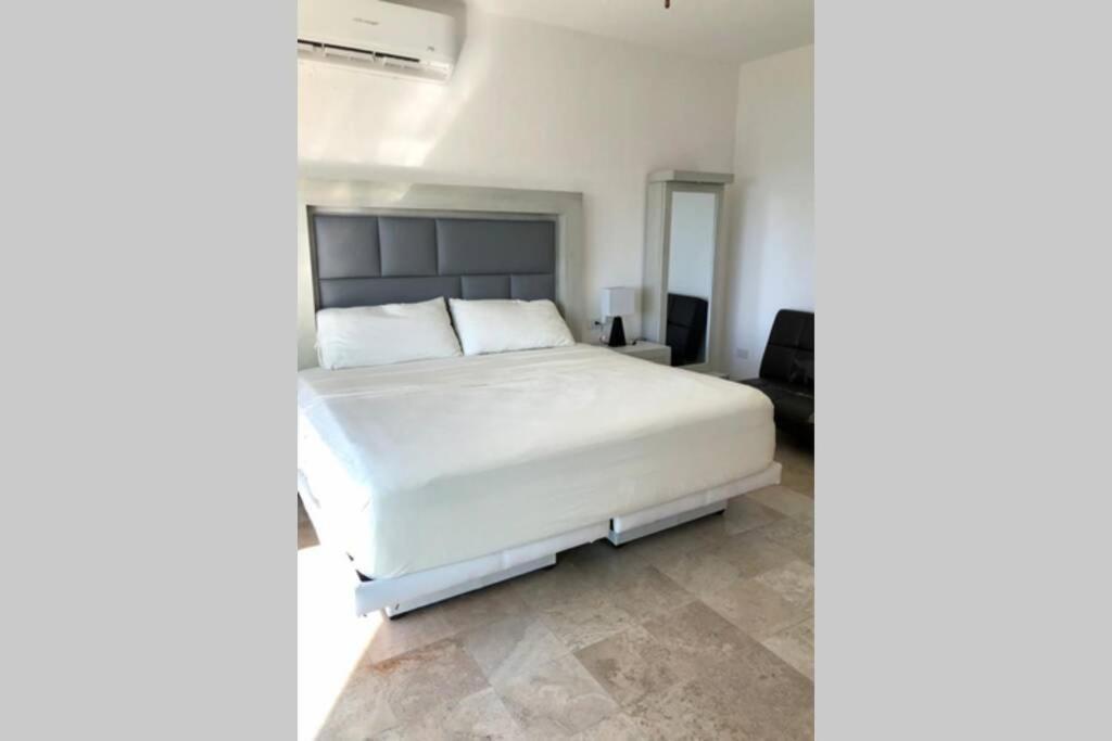 29 Palmetto Villa
