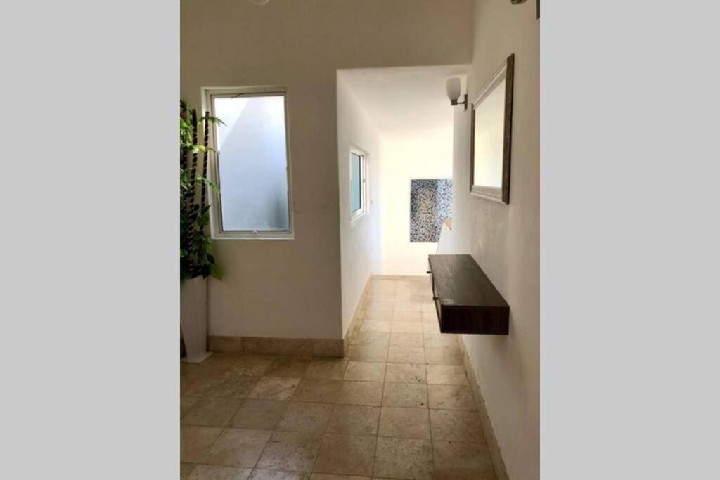 29 Palmetto