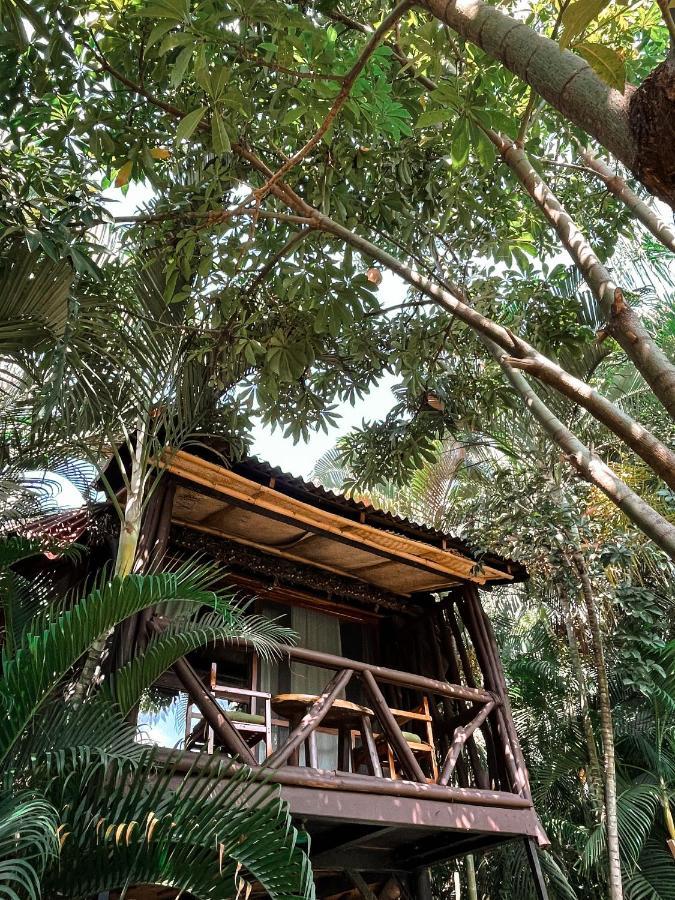 Jardin Secreto Centro Holistico Chalet Acapulco