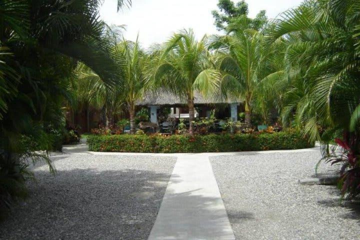 Hotel Casa De Lirio Diamante Acapulco