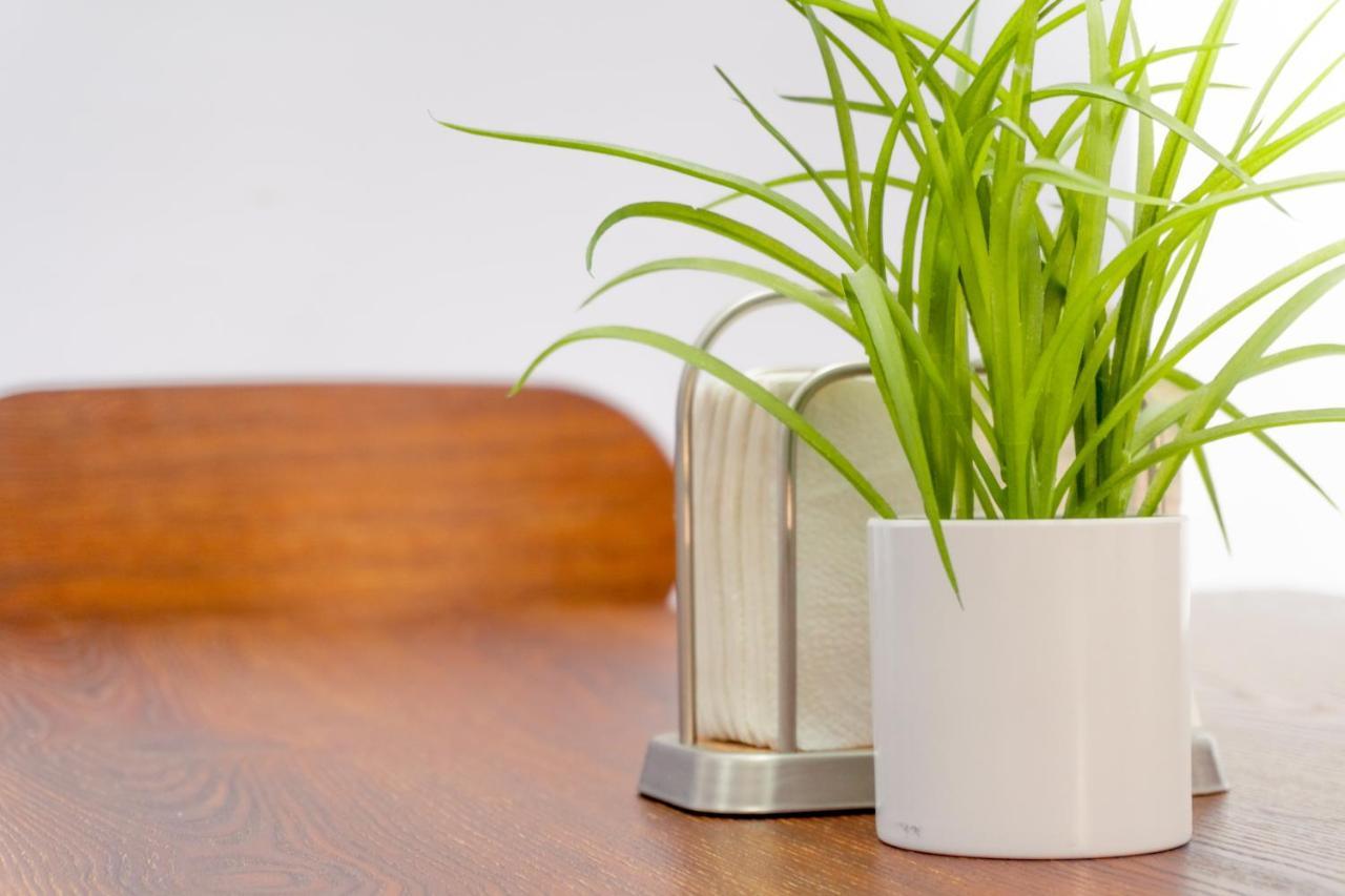 Con Alberca Smarttv Y Jardin *