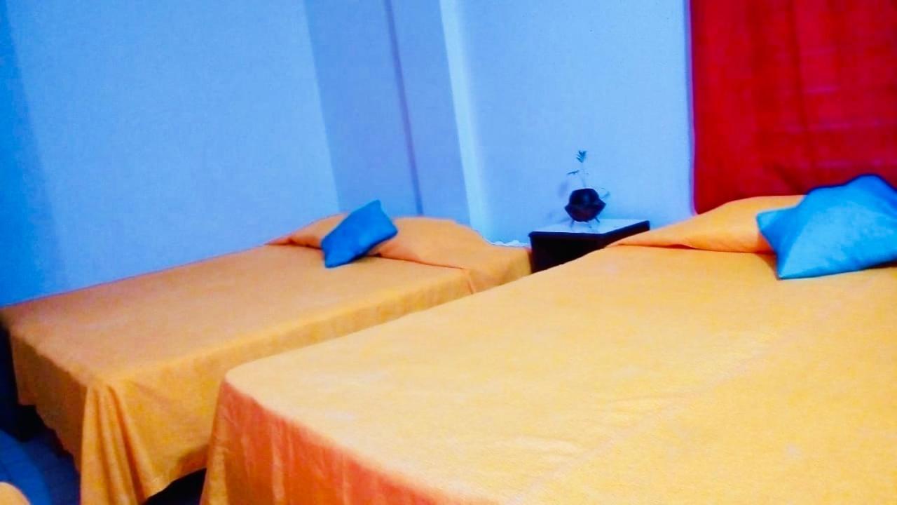 Zocalo Abuelos