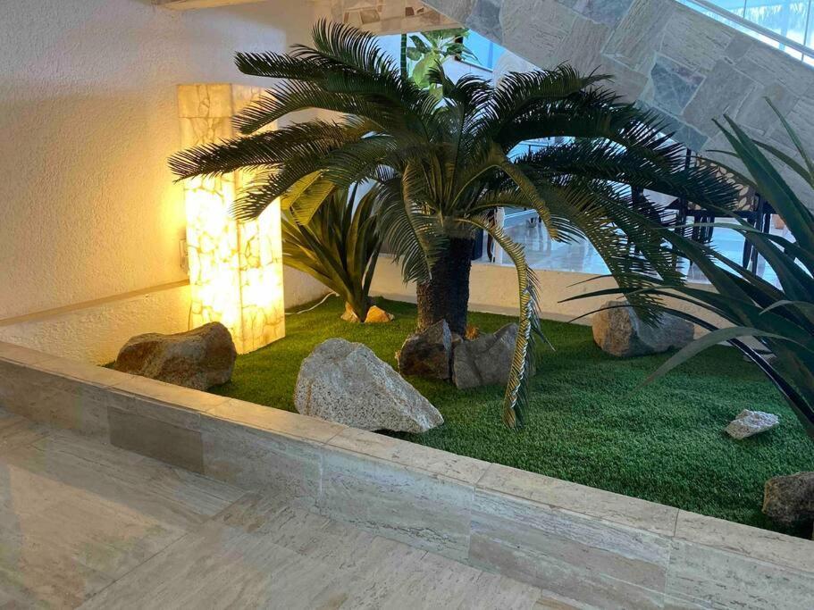 Holiday home En Reparacion Por Huracan Otis No Acepta Reservaciones