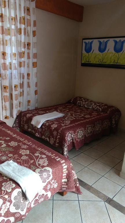 Guest house Y Olivares