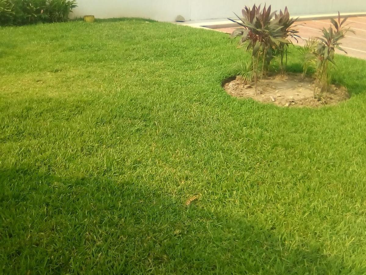 Victor House Apartment Acapulco