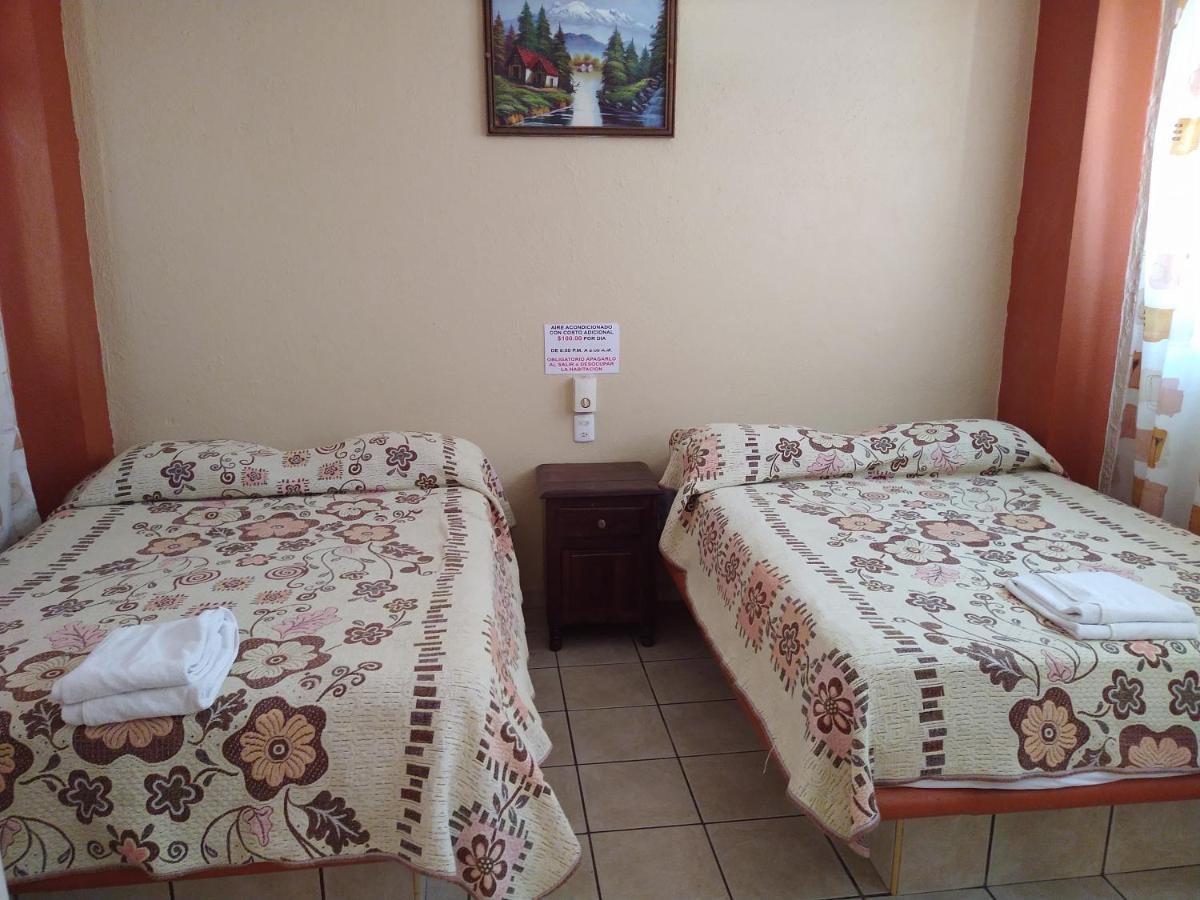 Guest house Y Olivares