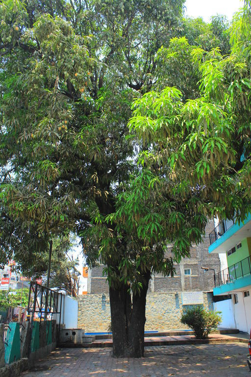 Hotel Avenida