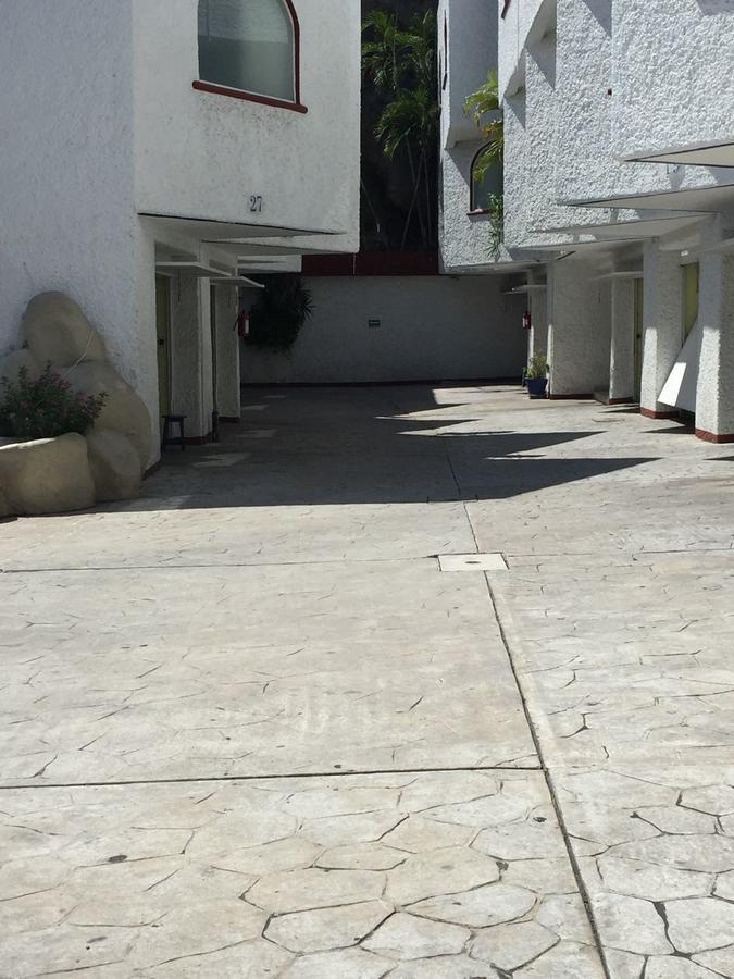 Oasis *