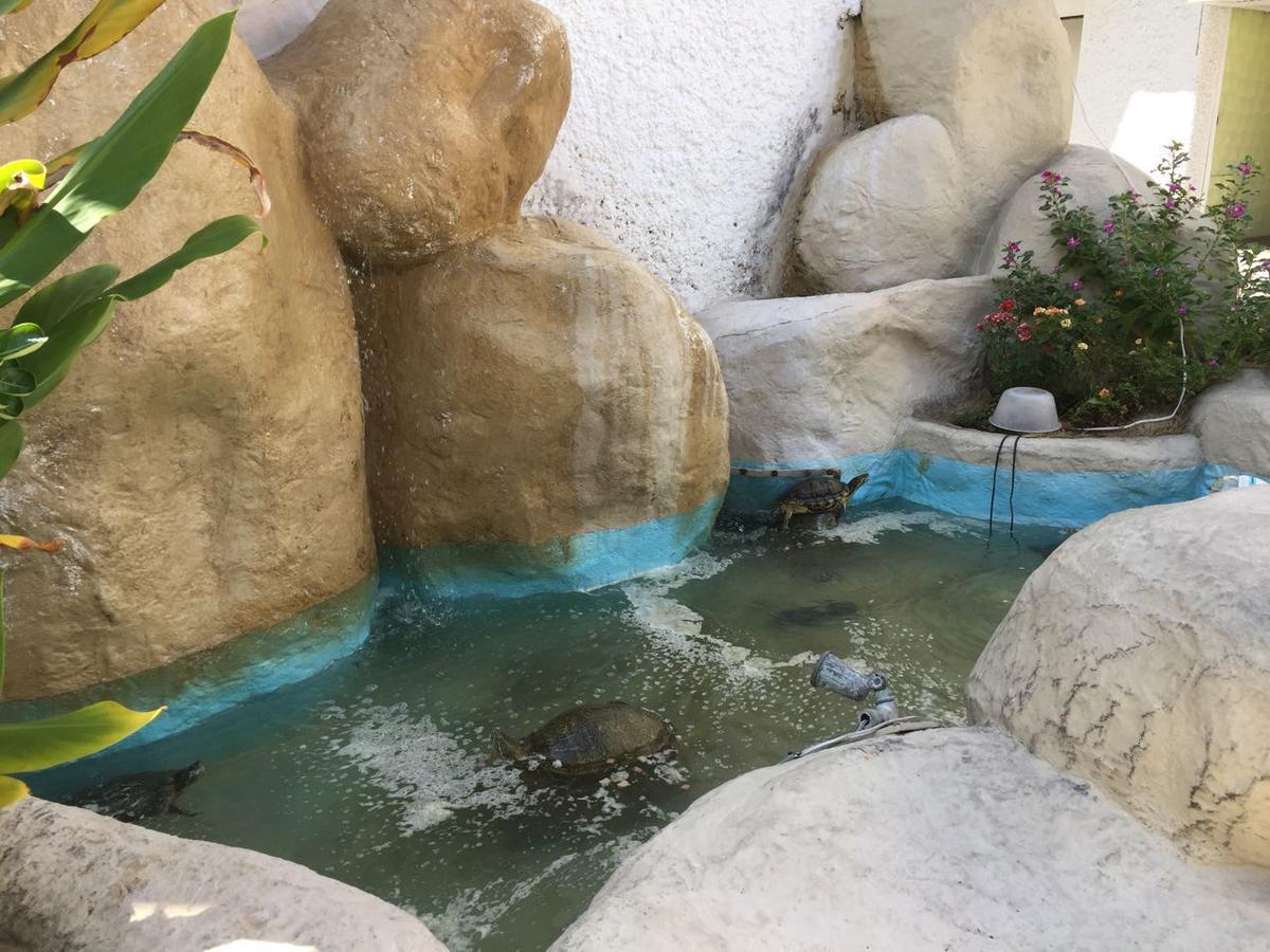 Oasis Hotel Acapulco
