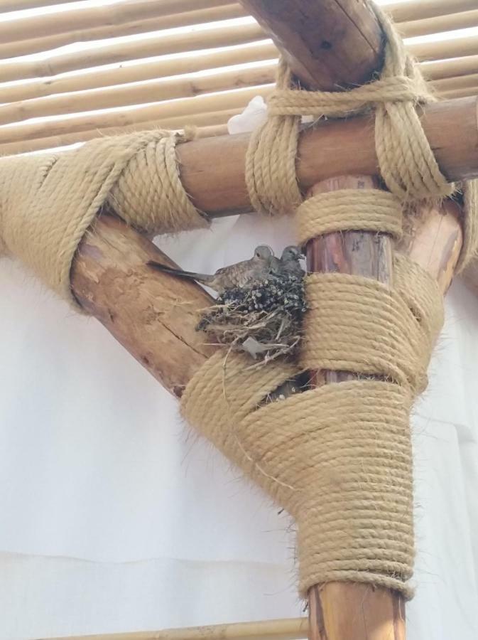 Hotel Wayahnb'al Eco Boutique