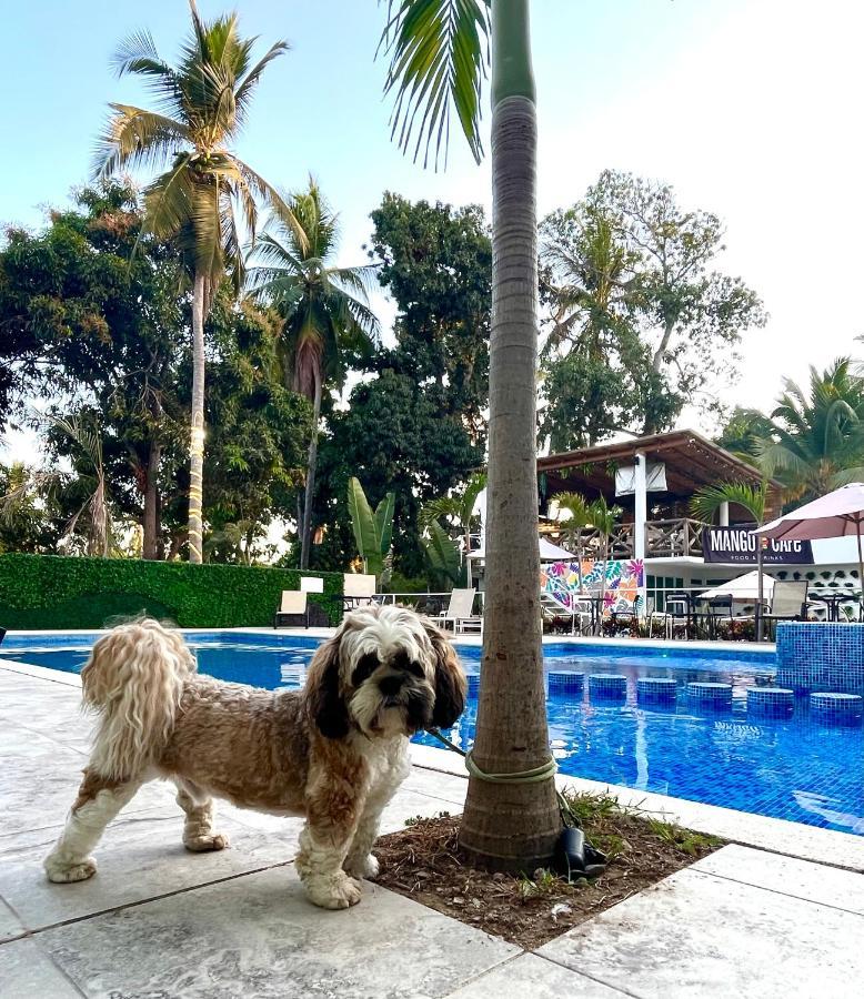 Gran Palma Residencial Apartment