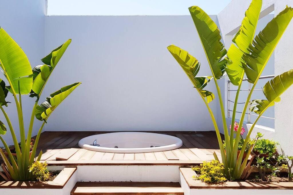 Apartment Style With Club Acapulco