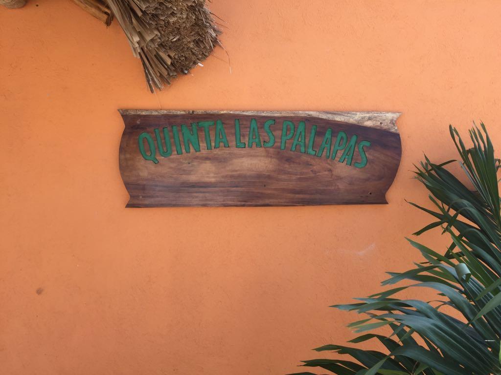 Hotel Quinta Las Palapas